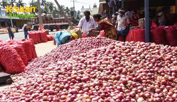 बेंगलुरु में प्याज 100 रुपये किलो, उदयपुर और रामपुर में सबसे कम 35 रुपये किलो है